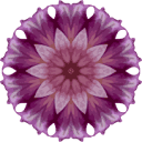 hince logo