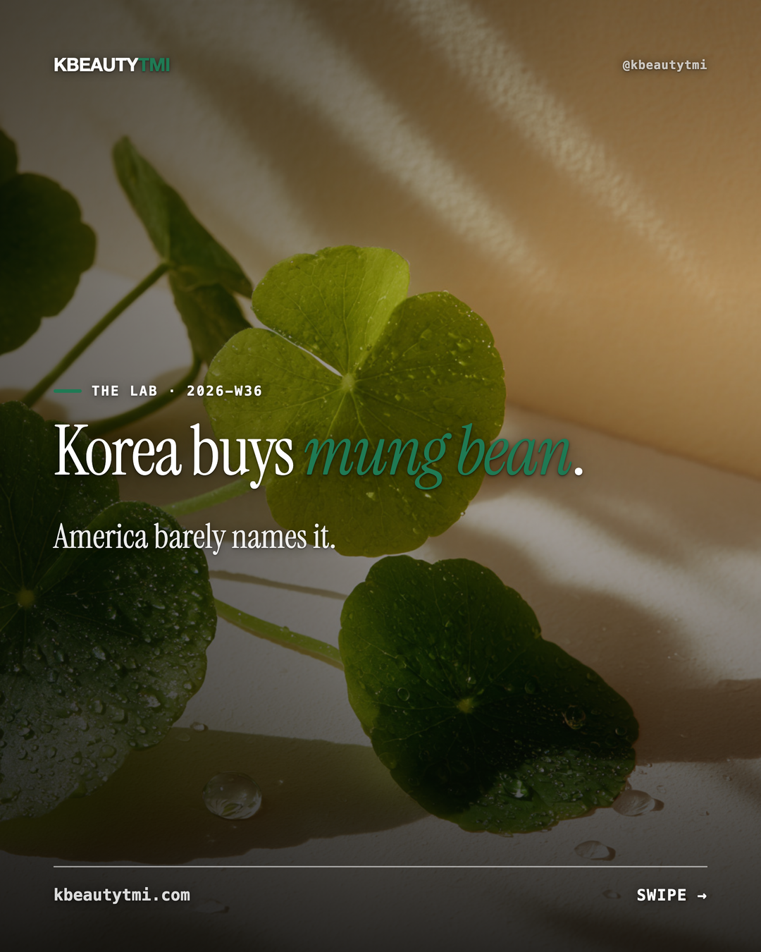 Korea buys the ingredient America doesn't — card 1 of 5